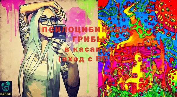 амфетамин Каменск-Шахтинский