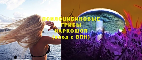 а пвп мука Каменка