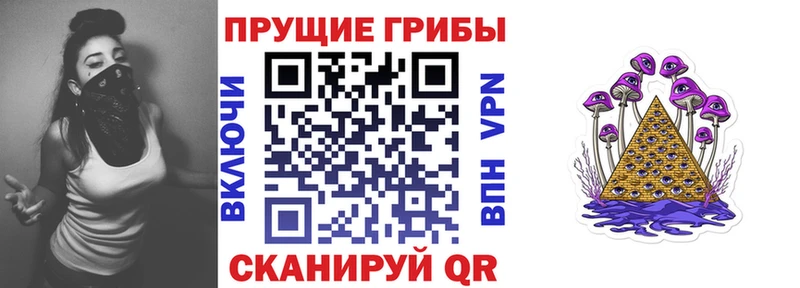 Галлюциногенные грибы ЛСД  Купить закладки  Гусь-Хрустальный 